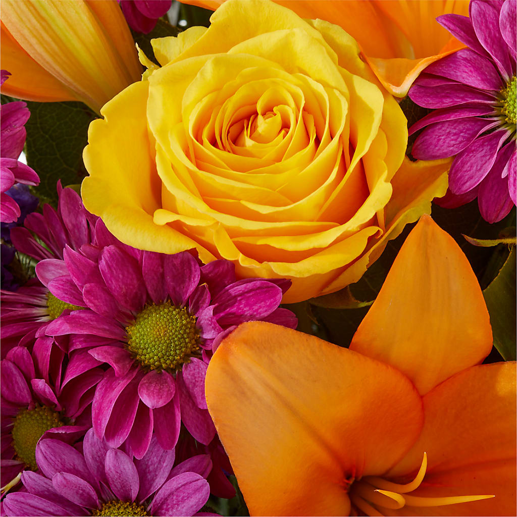 Colorful Visions Bouquet –  Flower House Iii, Spring Hill FL