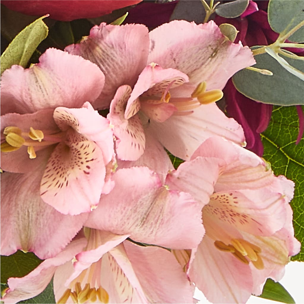 Berry Cobbler Bouquet –  Flower House Iii, Spring Hill FL