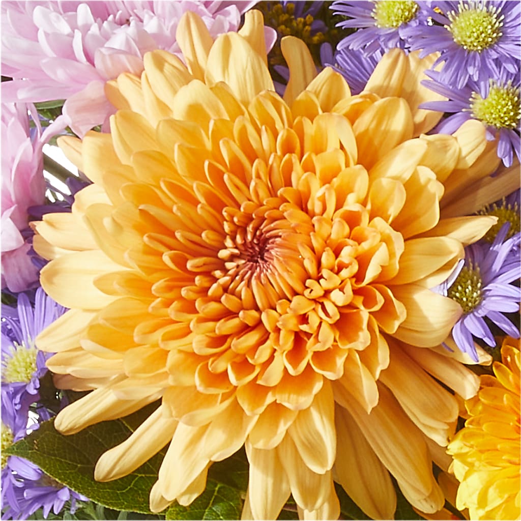 Countryside Bouquet –  Flower House Iii, Spring Hill FL