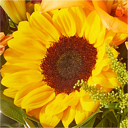 Seasons Change Bouquet –  Flower House Iii, Spring Hill FL