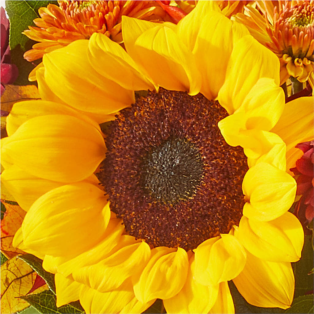 Sunny Side Bouquet –  Flower House Iii, Spring Hill FL