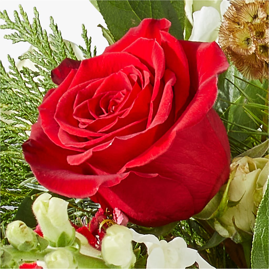 Deck the Halls Bouquet –  Flower House Iii, Spring Hill FL