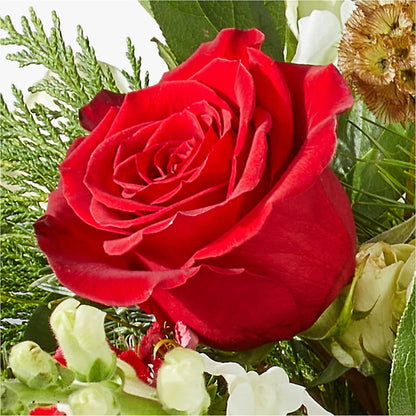 Deck the Halls Bouquet –  Flower House Iii, Spring Hill FL