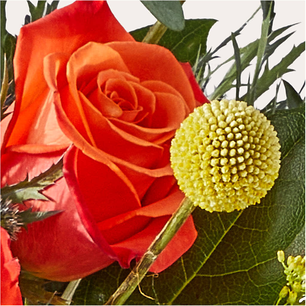 Disco Bouquet –  Flower House Iii, Spring Hill FL