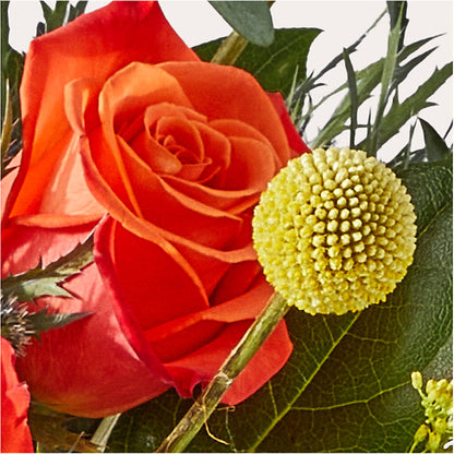 Disco Bouquet –  Flower House Iii, Spring Hill FL