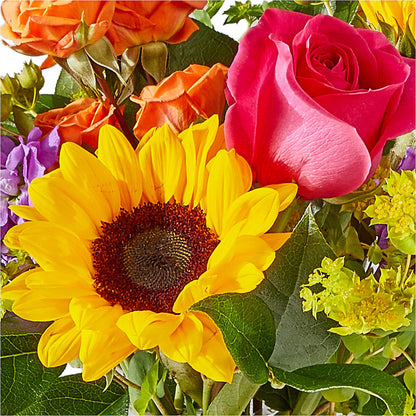 Vibrant Greetings Bouquet –  Flower House Iii, Spring Hill FL