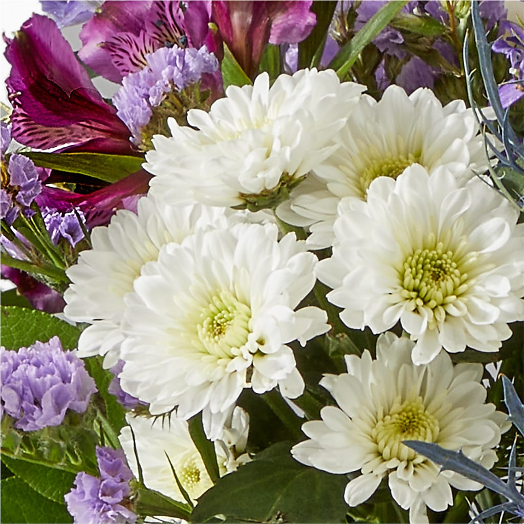 Shooting Star Bouquet –  Flower House Iii, Spring Hill FL