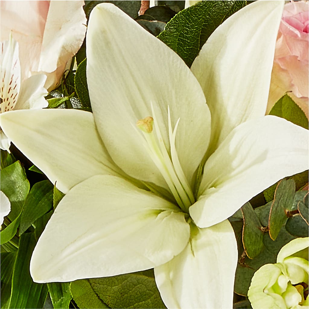 Ballet Slippers Bouquet –  Flower House Iii, Spring Hill FL