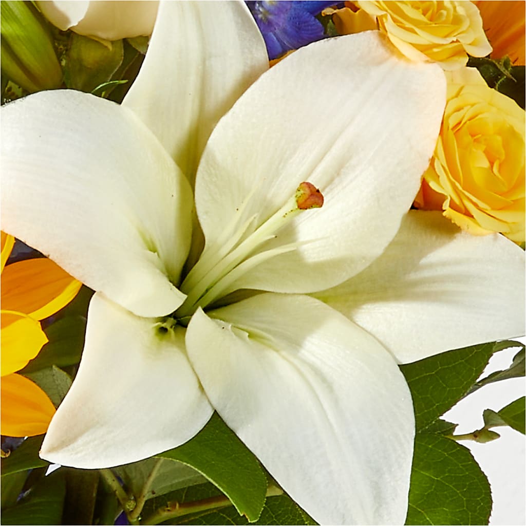 Wonderfully Sunny Bouquet –  Flower House Iii, Spring Hill FL