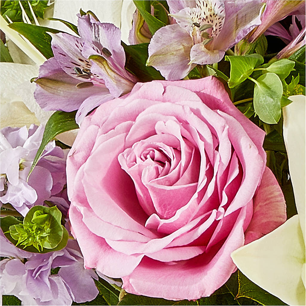 Daydreamer Bouquet –  Flower House Iii, Spring Hill FL