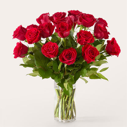 The One Red Rose Bouquet –  Flower House Iii, Spring Hill FL