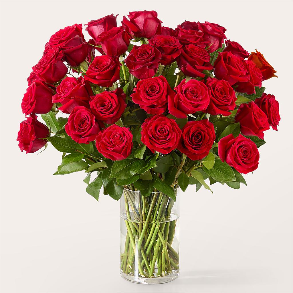The One Red Rose Bouquet –  Flower House Iii, Spring Hill FL