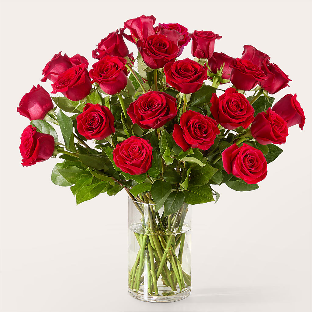 The One Red Rose Bouquet –  Flower House Iii, Spring Hill FL