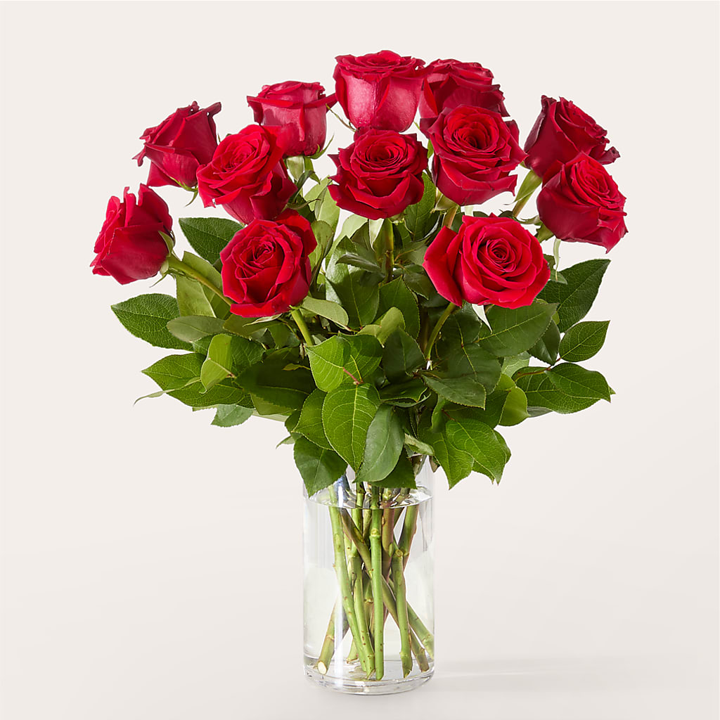 The One Red Rose Bouquet –  Flower House Iii, Spring Hill FL