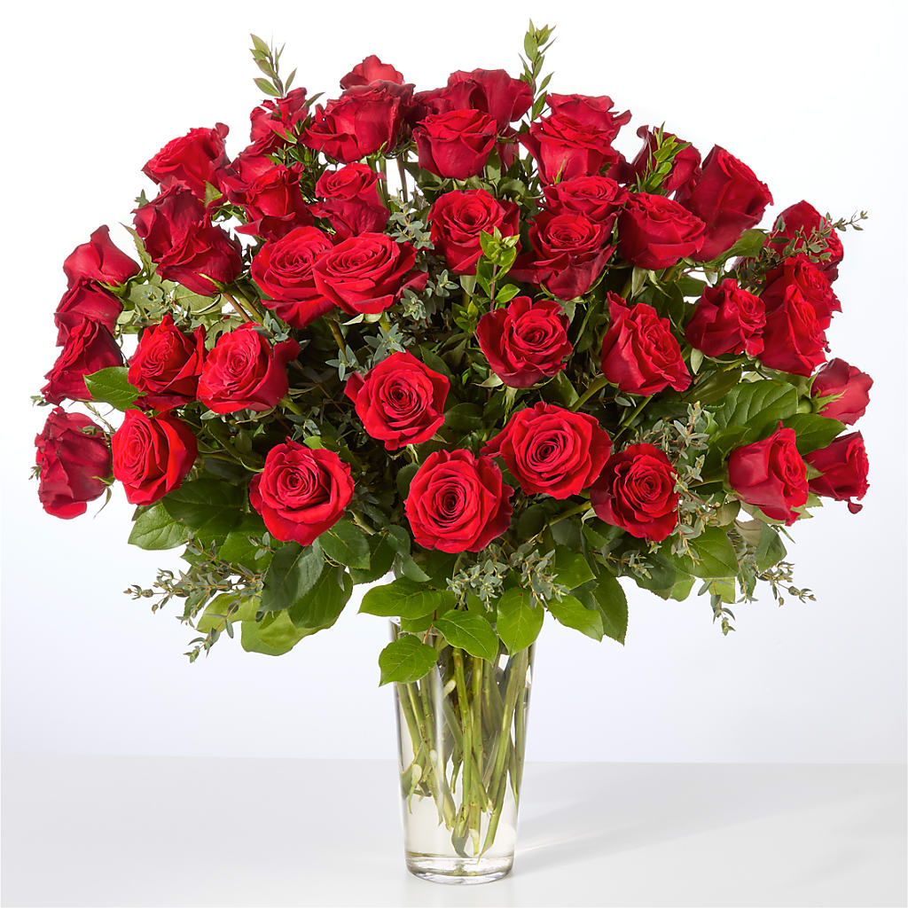 Forever Yours Fifty Stem Red Rose Bouquet –  Flower House Iii, Spring Hill FL