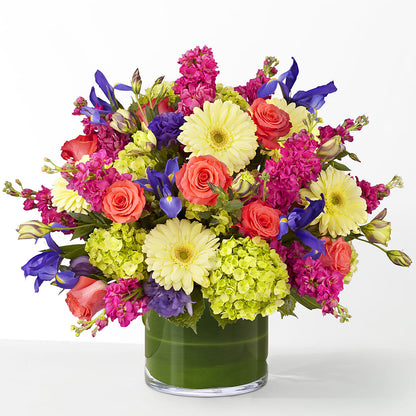 The Couture –  Flower House Iii, Spring Hill FL