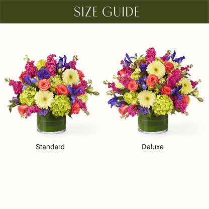 The Couture –  Flower House Iii, Spring Hill FL