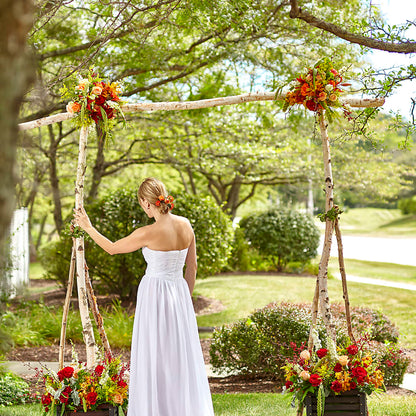 Arbor of Love Archway –  Flower House Iii, Spring Hill FL