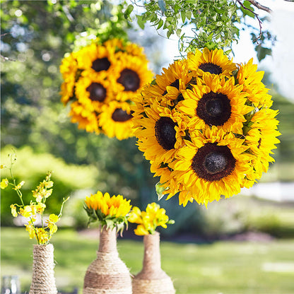 Sublime Garden Hanging Arrangement –  Flower House Iii, Spring Hill FL