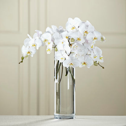 White Phalaenopsis Bouquet –  Flower House Iii, Spring Hill FL