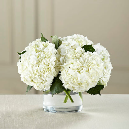 White Hydrangea Bouquet –  Flower House Iii, Spring Hill FL