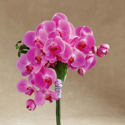Glorious Bouquet –  Flower House Iii, Spring Hill FL